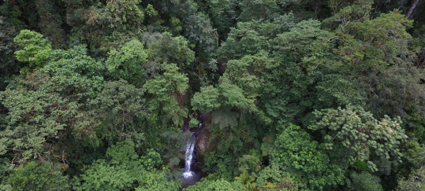 The Río Vereh Cloud Forest&nbsp;Reserve